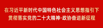 贯彻落实党的二十大精神·政协奋进新征程